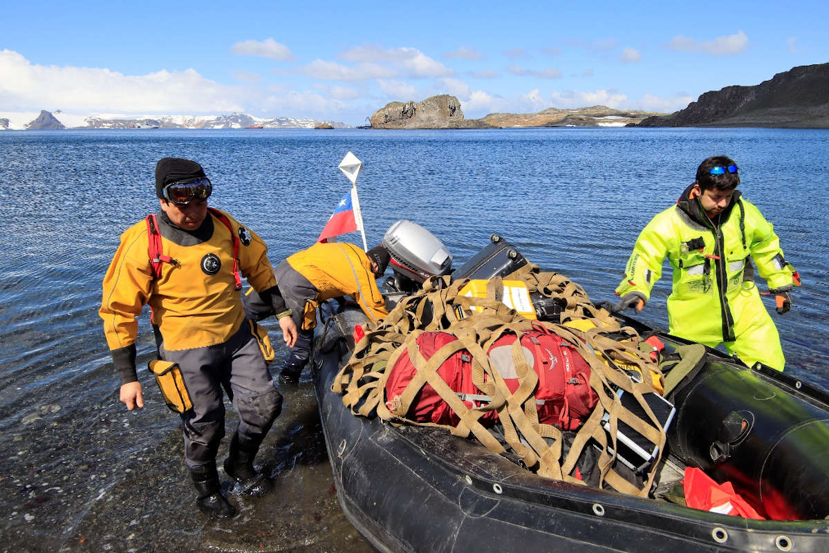 Nutrient sources and the spatial distribution of mosses in an antarctic ...