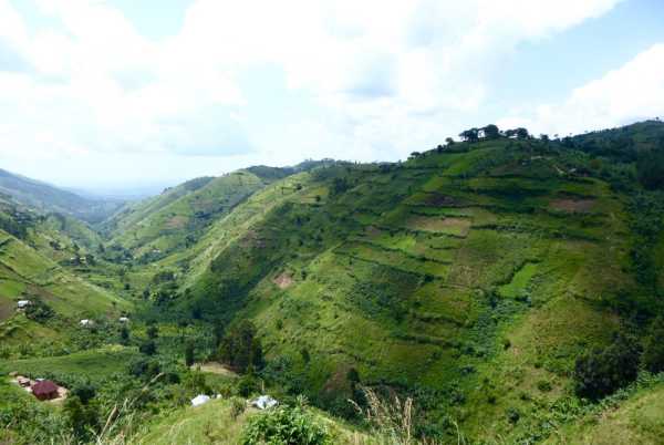 Rwenzori foothills Uganda